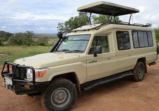 Contact Freddy Car Rentals for self-drive safaris in Rwanda and cross-border 4x4 trips across East Africa. Get a quote, ask about gorilla trekking add-ons, or book a driver-guide today.